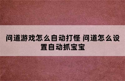 问道游戏怎么自动打怪 问道怎么设置自动抓宝宝